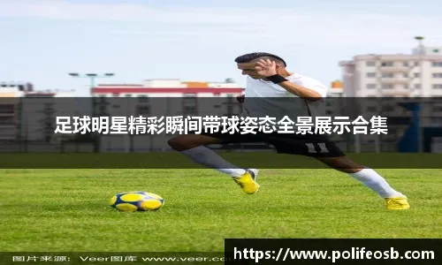 盘的颗